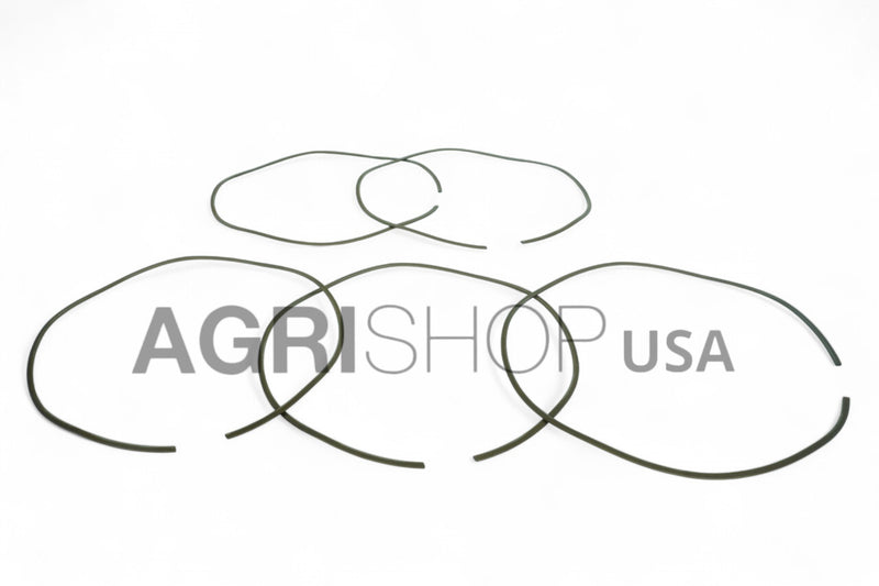CASE IH - 5166536 - PLUNGER DOG SPRING - "AVAILABLE"